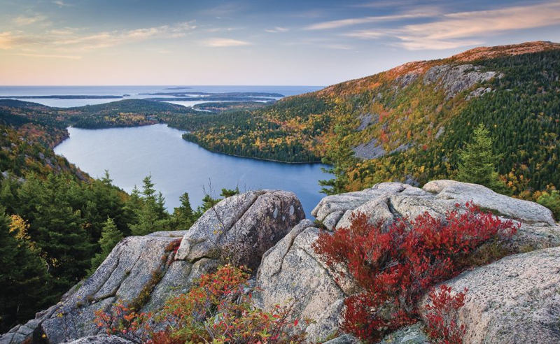 picture of Acadia's fall foliage